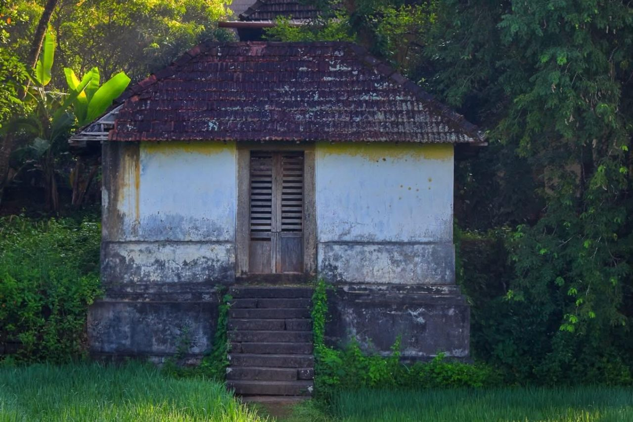 West side gateway or padippura opening to the green paddy fields in a Kerala village